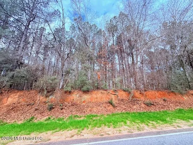Busy Corner Road Gloster, MS 39638