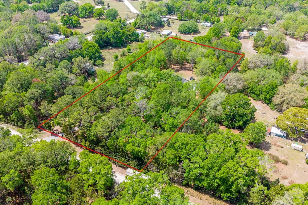 456 SW BRADENTON WAY Fort White, FL 32038