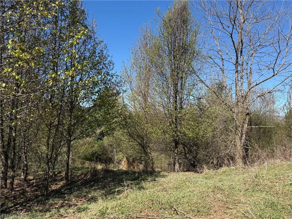 TBD (Lot 21 & 22) Martha Lane Piney Creek, NC 28663