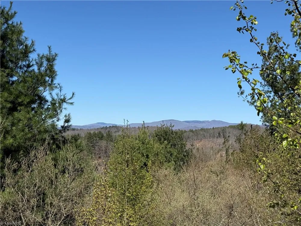 TBD (Lot 21 & 22) Martha Lane Piney Creek, NC 28663