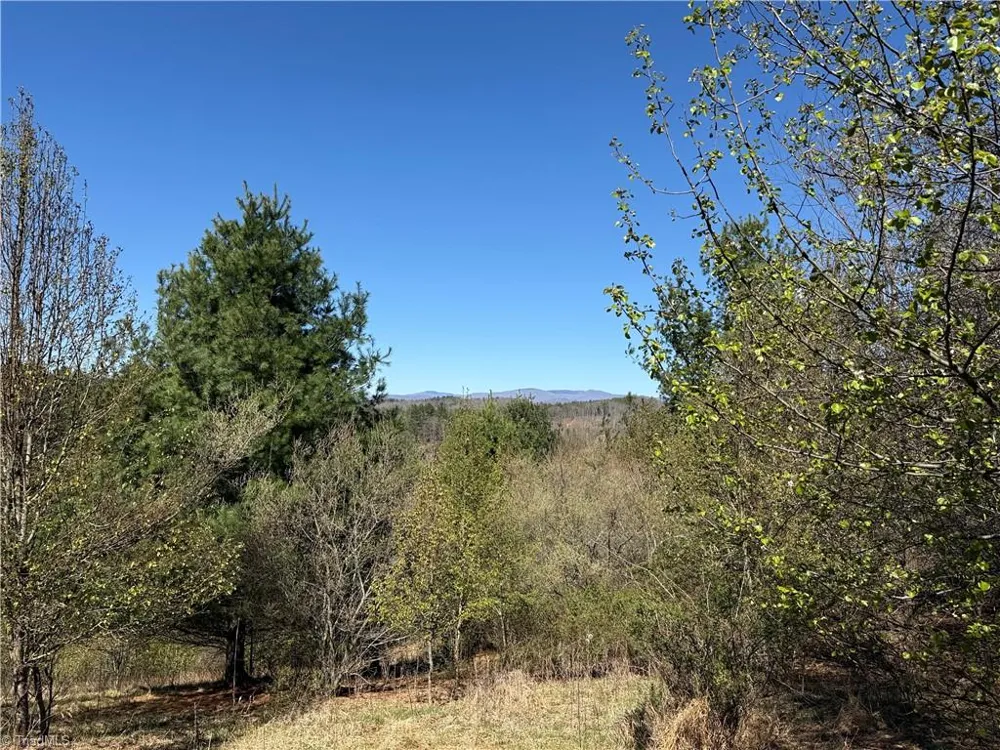 TBD (Lot 21 & 22) Martha Lane Piney Creek, NC 28663