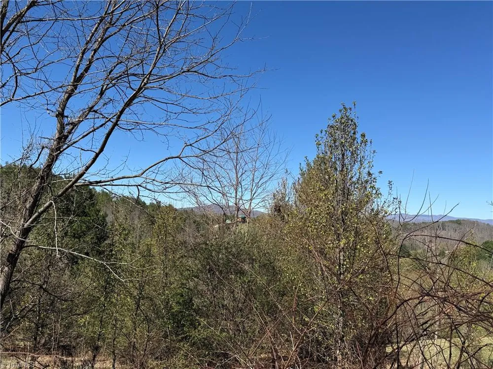 TBD (Lot 21 & 22) Martha Lane Piney Creek, NC 28663