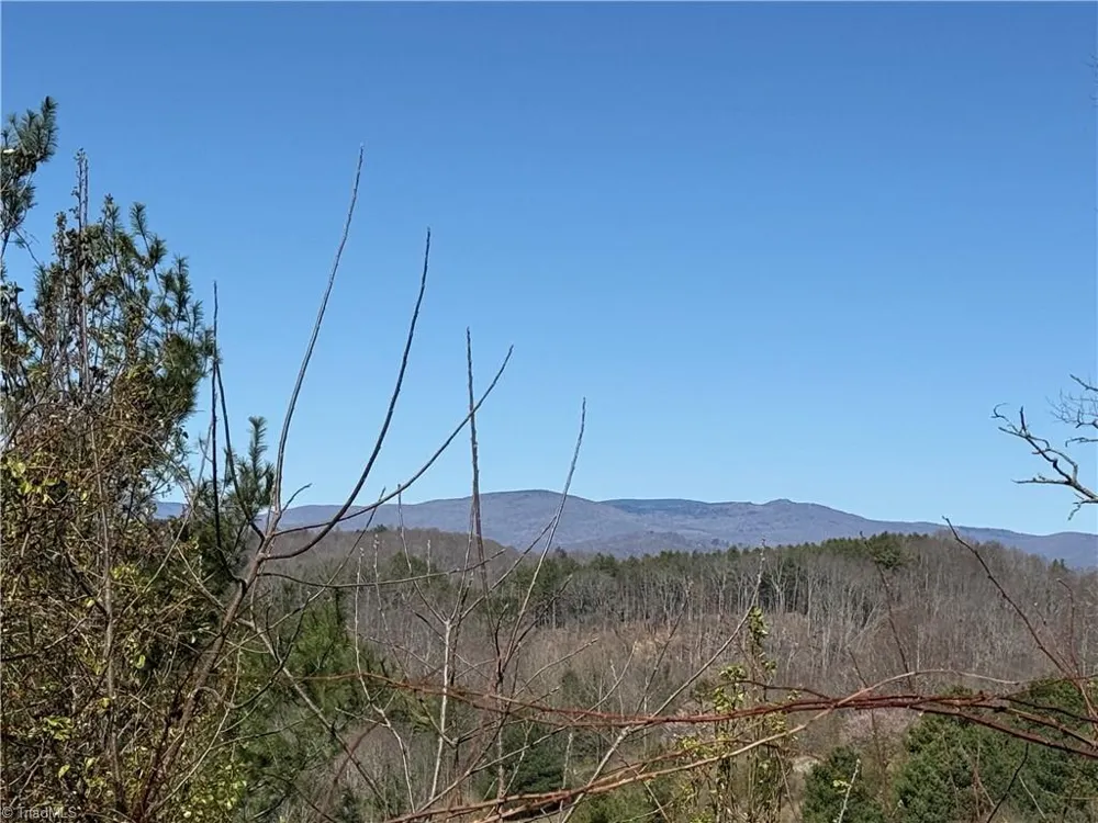TBD (Lot 21 & 22) Martha Lane Piney Creek, NC 28663