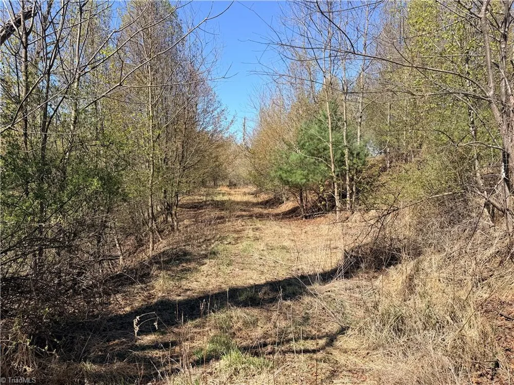 TBD (Lot 21 & 22) Martha Lane Piney Creek, NC 28663