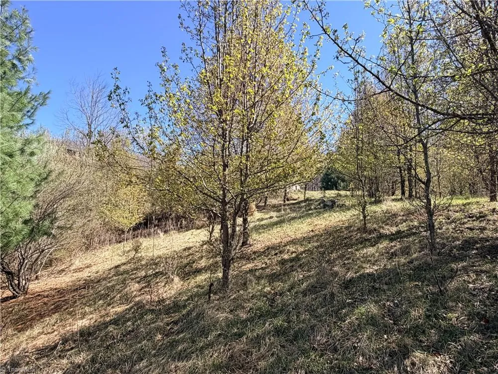 TBD (Lot 21 & 22) Martha Lane Piney Creek, NC 28663