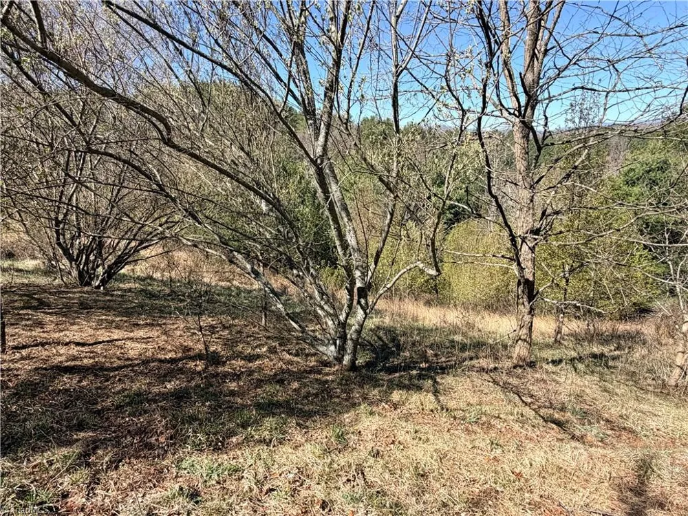 TBD (Lot 21 & 22) Martha Lane Piney Creek, NC 28663
