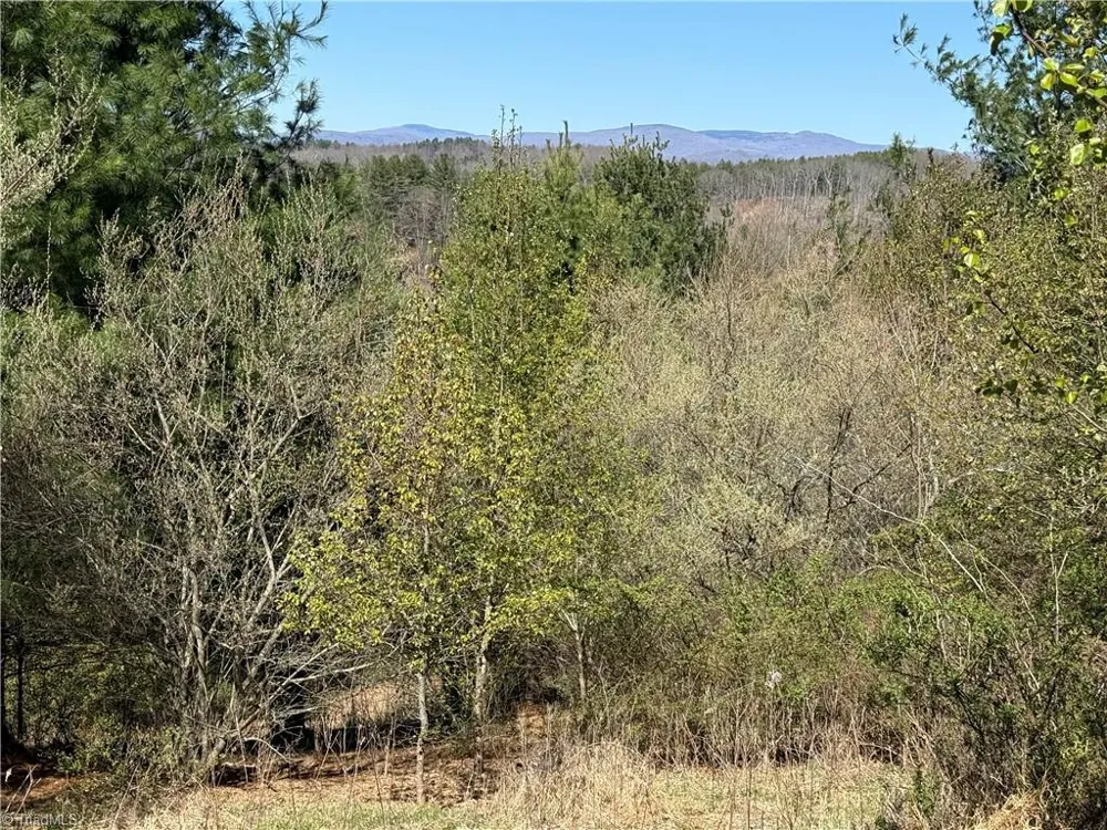 TBD (Lot 21 & 22) Martha Lane Piney Creek, NC 28663