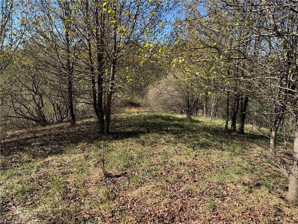 TBD (Lot 21 & 22) Martha Lane Piney Creek, NC 28663