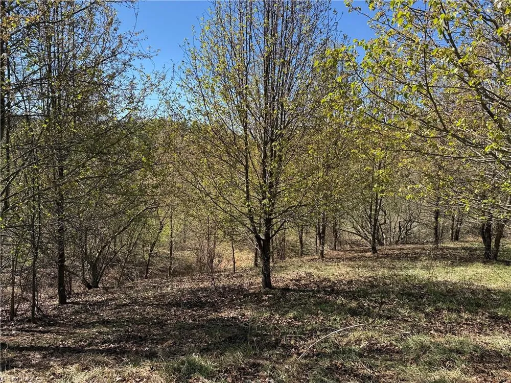 TBD (Lot 21 & 22) Martha Lane Piney Creek, NC 28663