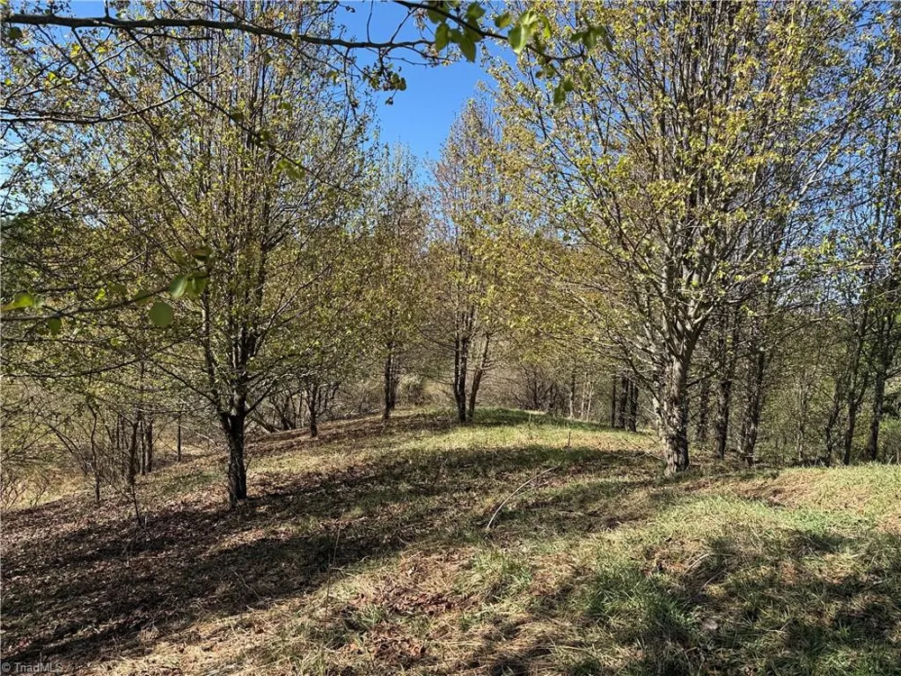 TBD (Lot 21 & 22) Martha Lane Piney Creek, NC 28663