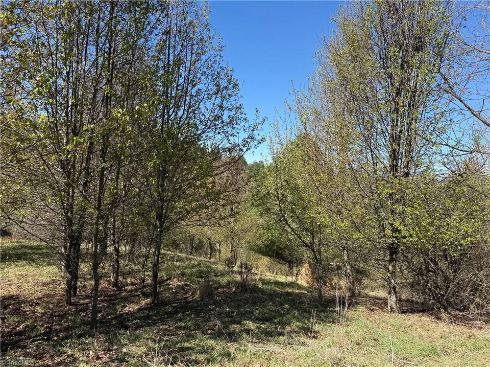 TBD (Lot 21 & 22) Martha Lane Piney Creek, NC 28663