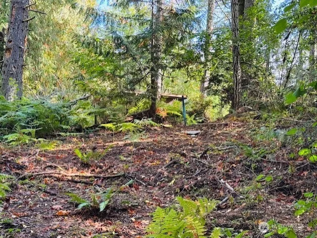 0 E Agate Road Shelton, WA 98584