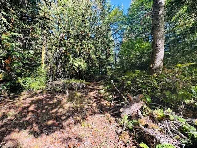 0 E Agate Road Shelton, WA 98584