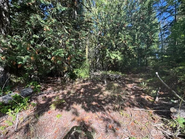 0 E Agate Road Shelton, WA 98584