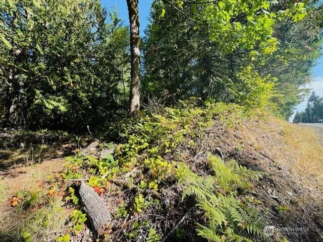 0 E Agate Road Shelton, WA 98584