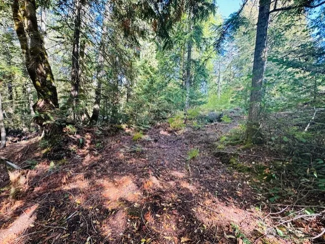 0 E Agate Road Shelton, WA 98584