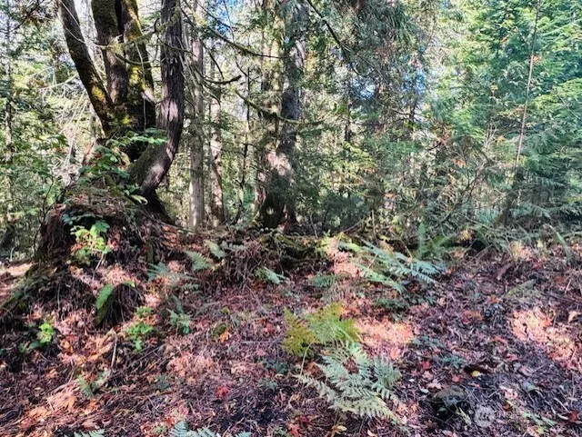 0 E Agate Road Shelton, WA 98584