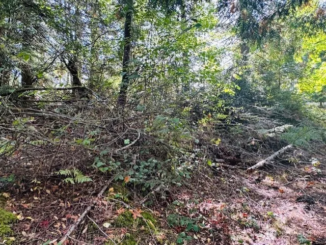 0 E Agate Road Shelton, WA 98584