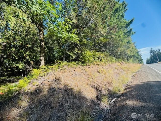 0 E Agate Road Shelton, WA 98584