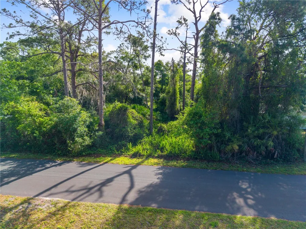 BURTON DR St Cloud, FL 34771