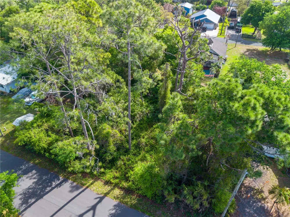 BURTON DR St Cloud, FL 34771