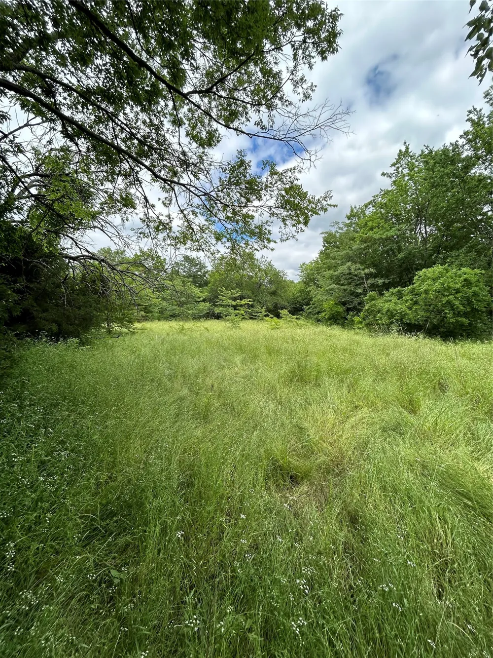 S First St Point, TX 75472
