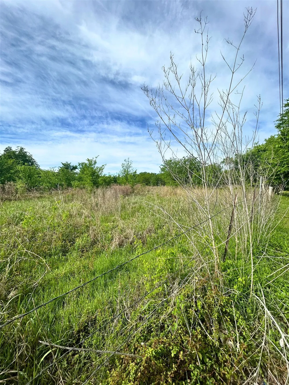 S First St Point, TX 75472