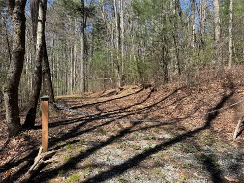 Lot 1 Bear Log Road