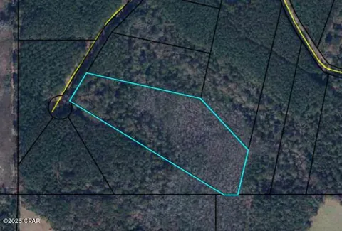 REEDY CREEK CROSSING