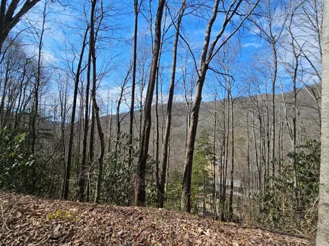 Lot 16 Warrior Way