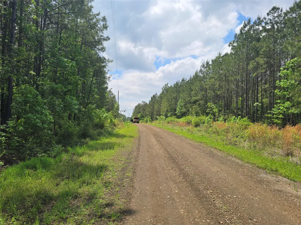 66 Cr 4248 San Augustine, TX 75972