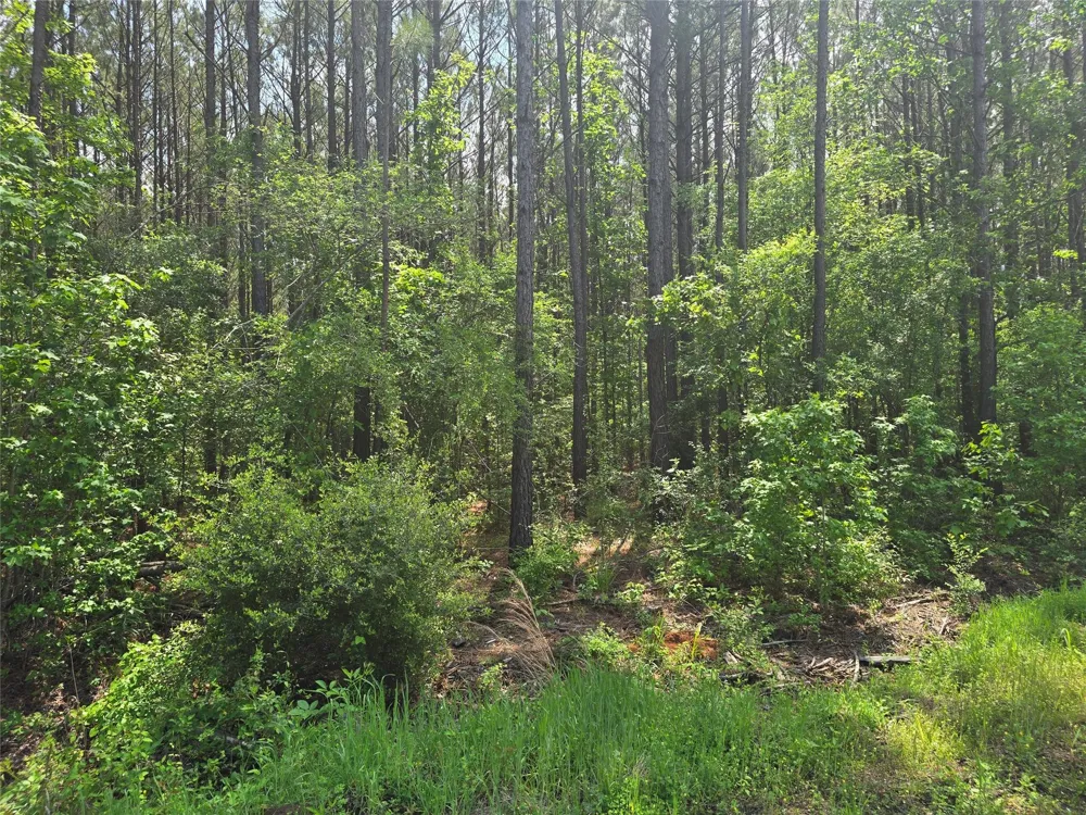 66 Cr 4248 San Augustine, TX 75972