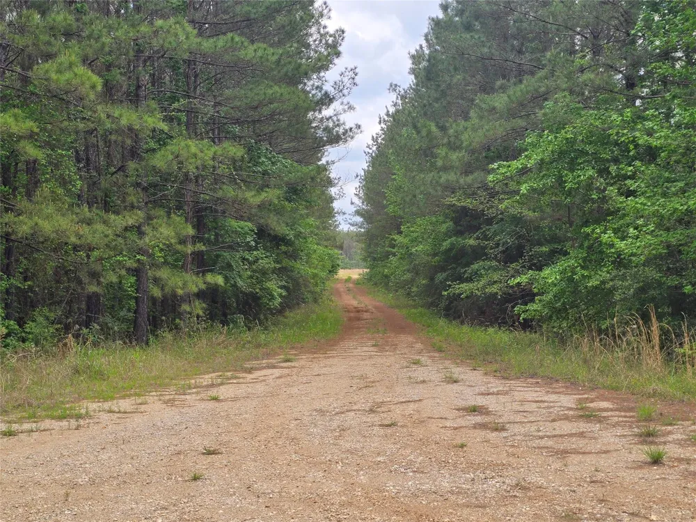 66 Cr 4248 San Augustine, TX 75972