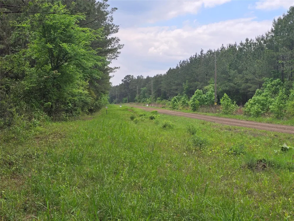 66 Cr 4248 San Augustine, TX 75972