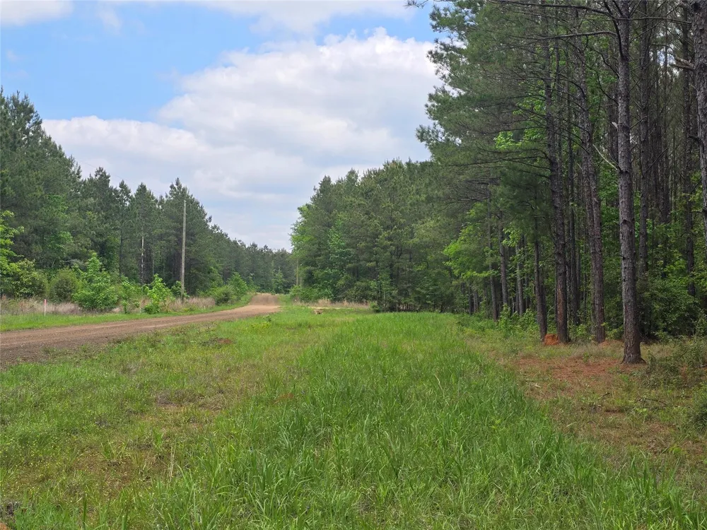 66 Cr 4248 San Augustine, TX 75972