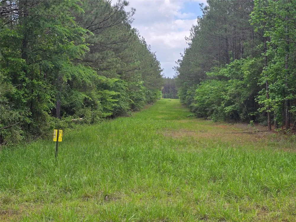 66 Cr 4248 San Augustine, TX 75972
