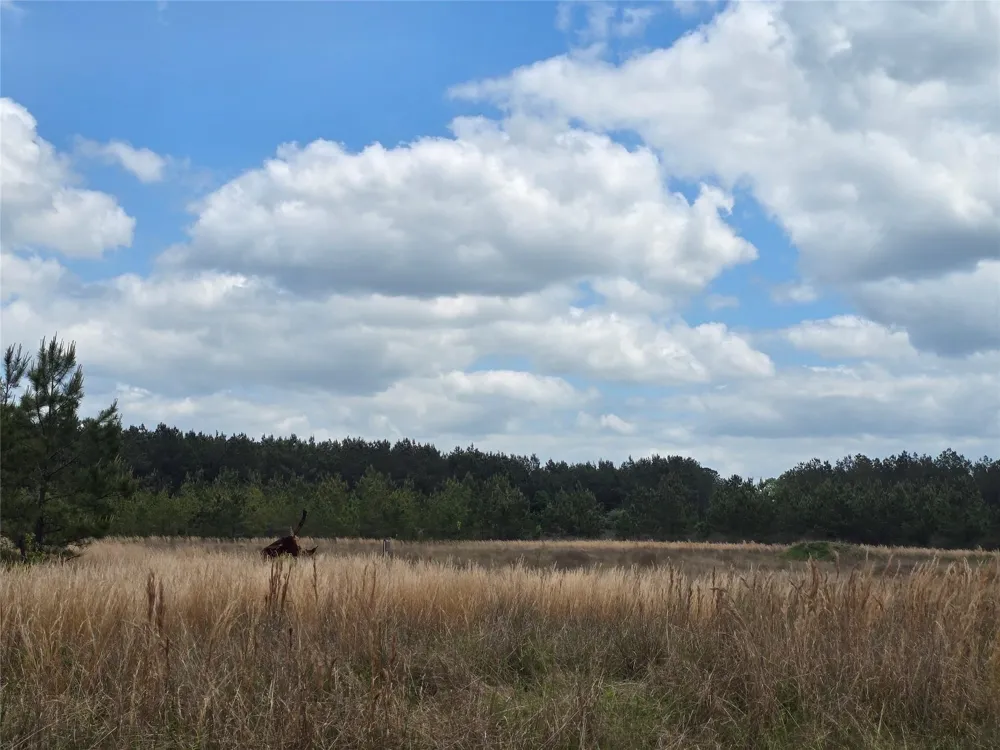 66 Cr 4248 San Augustine, TX 75972