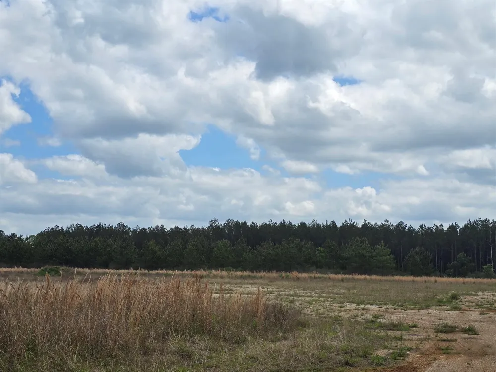66 Cr 4248 San Augustine, TX 75972