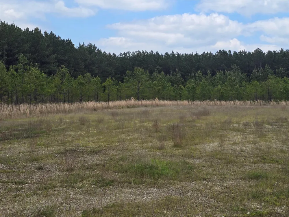 66 Cr 4248 San Augustine, TX 75972
