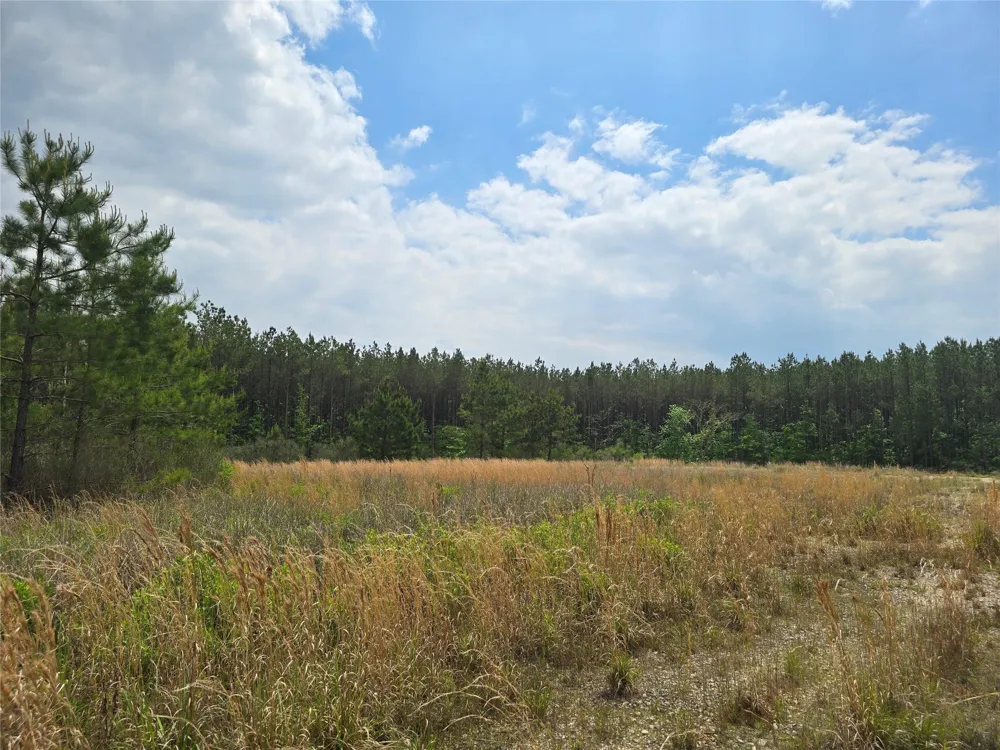 66 Cr 4248 San Augustine, TX 75972