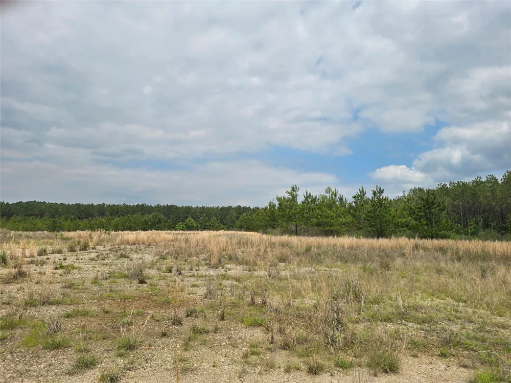 66 Cr 4248 San Augustine, TX 75972