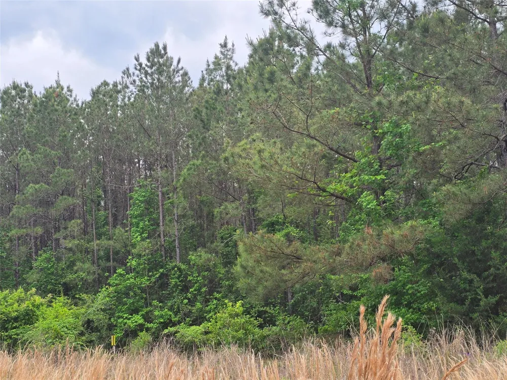 66 Cr 4248 San Augustine, TX 75972