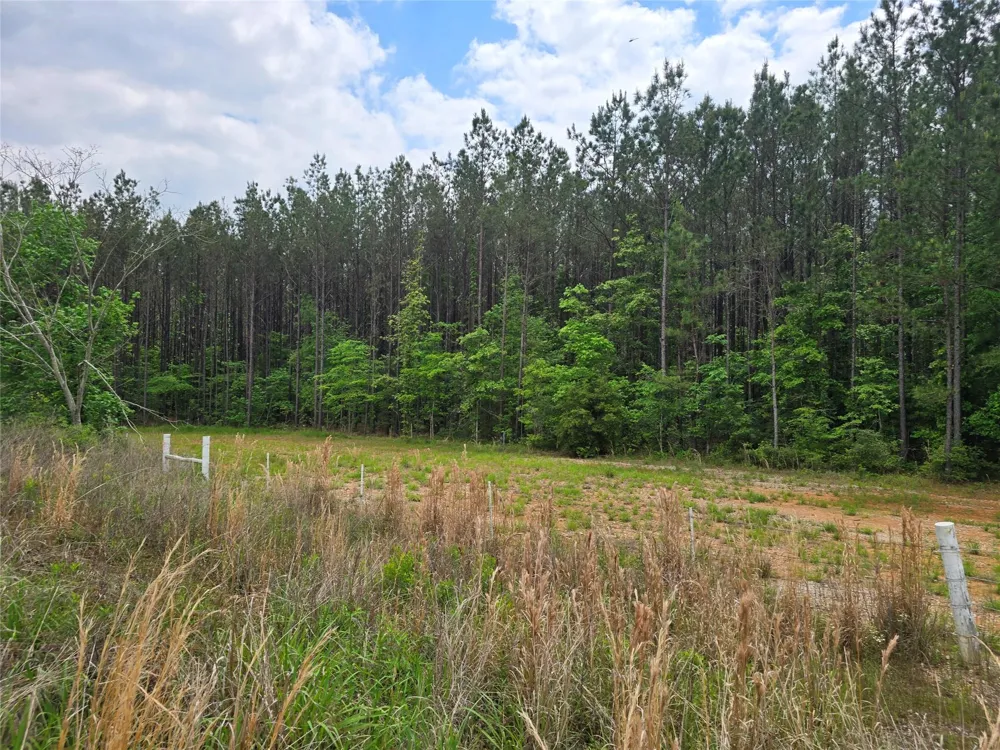 66 Cr 4248 San Augustine, TX 75972