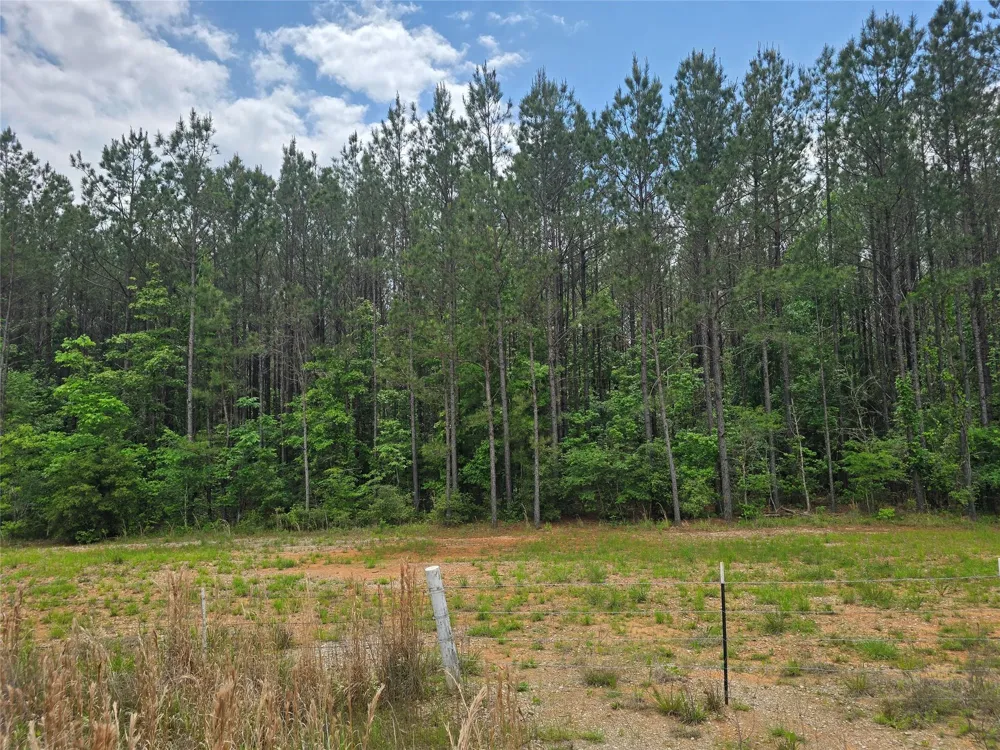 66 Cr 4248 San Augustine, TX 75972