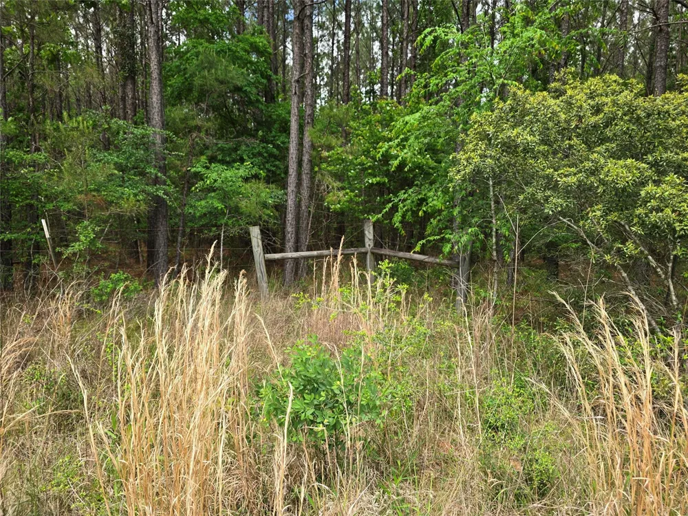 66 Cr 4248 San Augustine, TX 75972