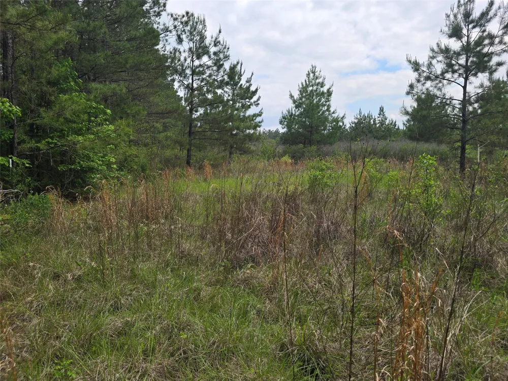 66 Cr 4248 San Augustine, TX 75972