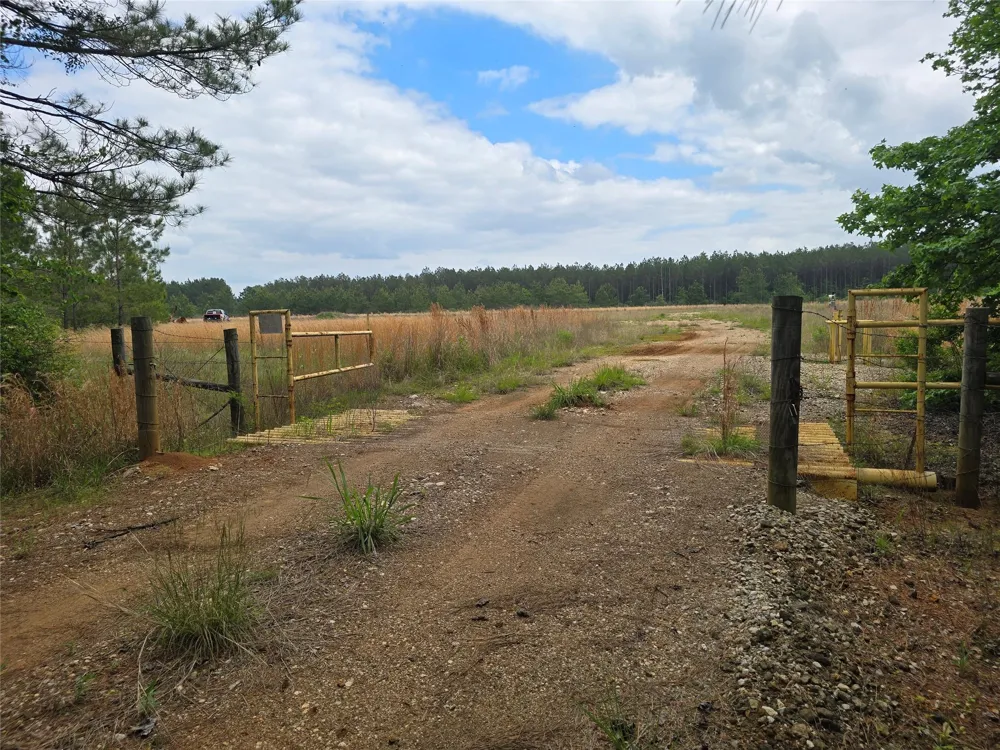 66 Cr 4248 San Augustine, TX 75972