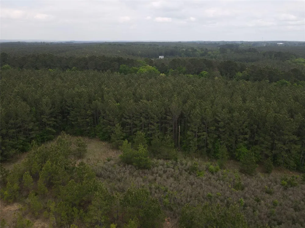 66 Cr 4248 San Augustine, TX 75972