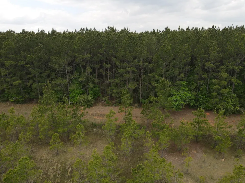 66 Cr 4248 San Augustine, TX 75972
