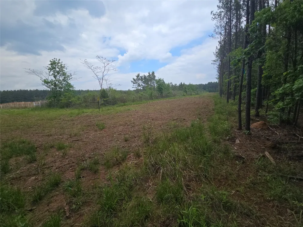 66 Cr 4248 San Augustine, TX 75972